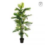 PLANTA ARECA PALMERA VERDE 170 CM