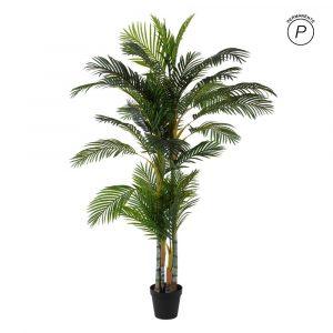 planta-areca-palmera-verde-100-x-130-x-210-cm-107407