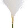 602115-02 BLANCO