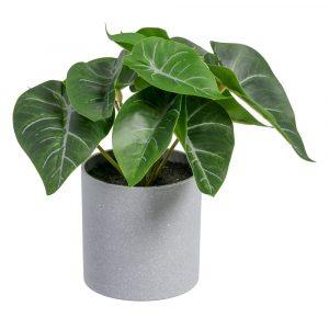 singonio-verde-pvc-20-x-17-x-18-cm-605439
