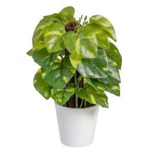potos-verde-pvc-16-x-16-x-25-cm-605443