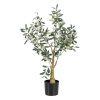 PLANTA OLIVO VERDE 56 X 48 X 78 CM PLANTA OLIVO VERDE 56 X 48 X 78 CM