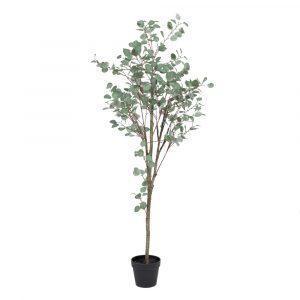 planta-eucalipto-verde-80-x-82-x-180-cm-605472
