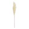RAMA JUNCO CREMA ARTIFICIAL DECORACIÓN 12 X 12 X 110 CM