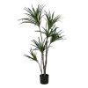 PLANTA DRACAENA VERDE GOMA 130 CM PLANTA DRACAENA VERDE GOMA 130 CM