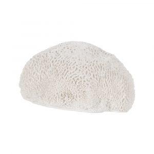 figura-esponja-blanco-resina-decoracion-21-x-21-x-11-cm-614008