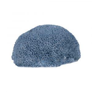 figura-esponja-azul-resina-decoracion-23-x-21-x-11-cm-614017