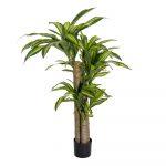 PLANTA DRACAENA VERDE POLIESTER 100 X 140 CM