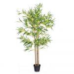 PLANTA BAMBÚ EXTERIOR 210 CM