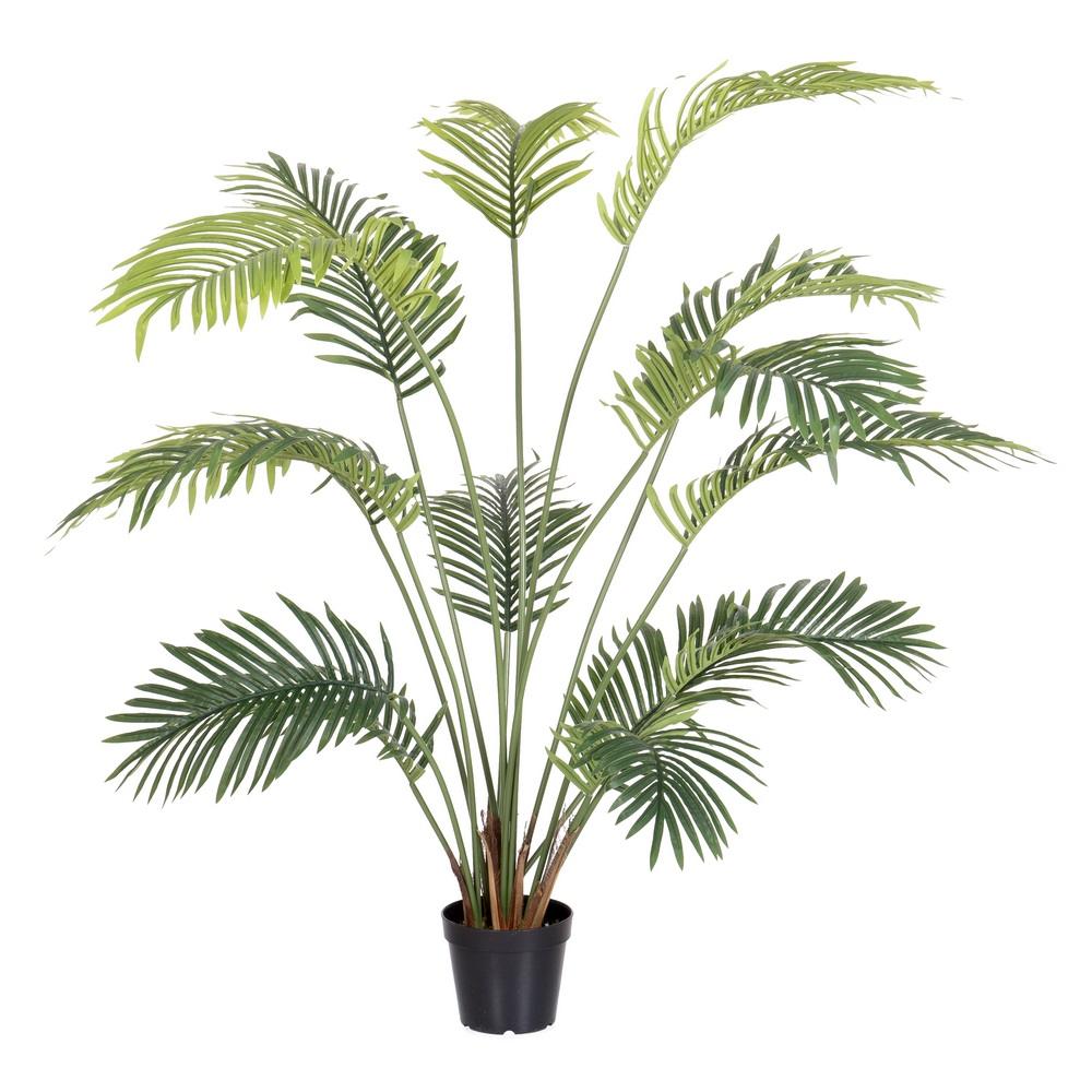 planta-areca-exterior-150-cm-733219