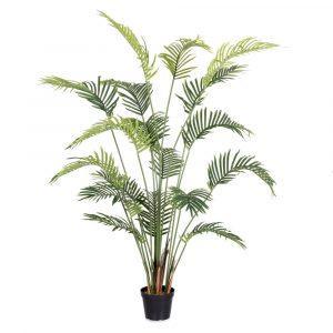 planta-areca-exterior-180-cm-733220