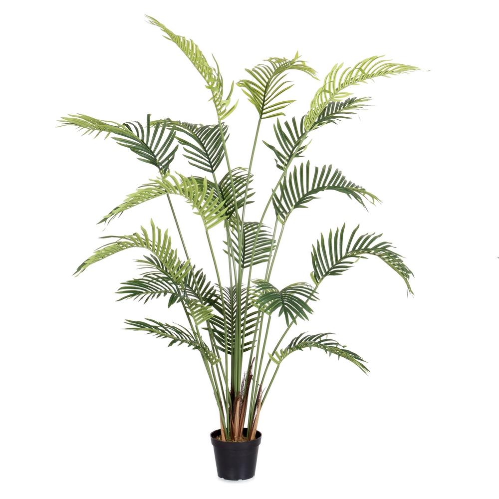 planta-areca-exterior-180-cm-733220