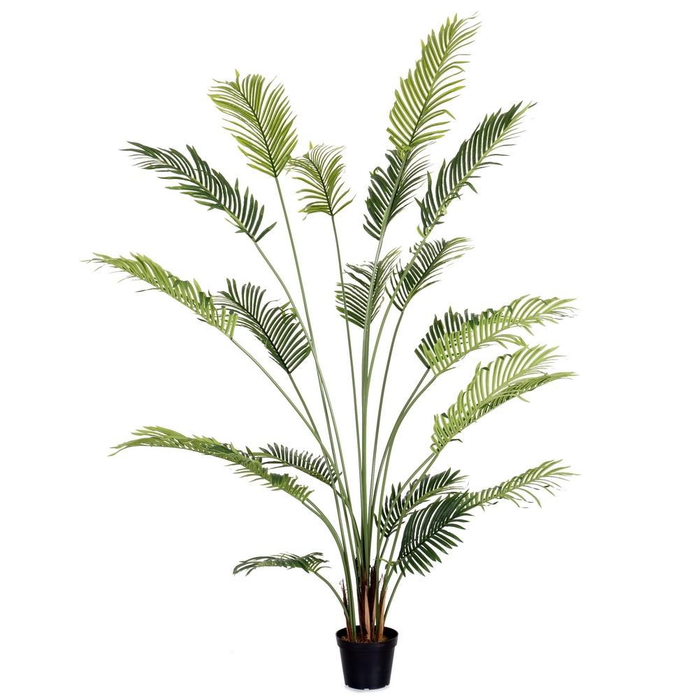 planta-areca-exterior-210-cm-733221