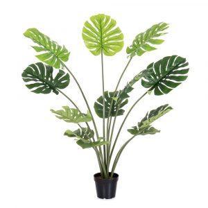 planta-monstera-exterior-120-cm-733222