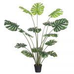 PLANTA MONSTERA EXTERIOR 150 CM