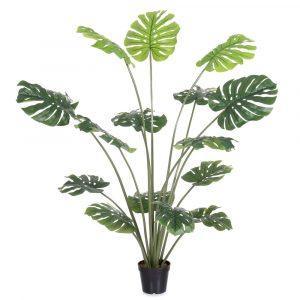 PLANTA MONSTERA EXTERIOR 150 CM