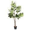PLANTA FICUS EXTERIOR 175 CM