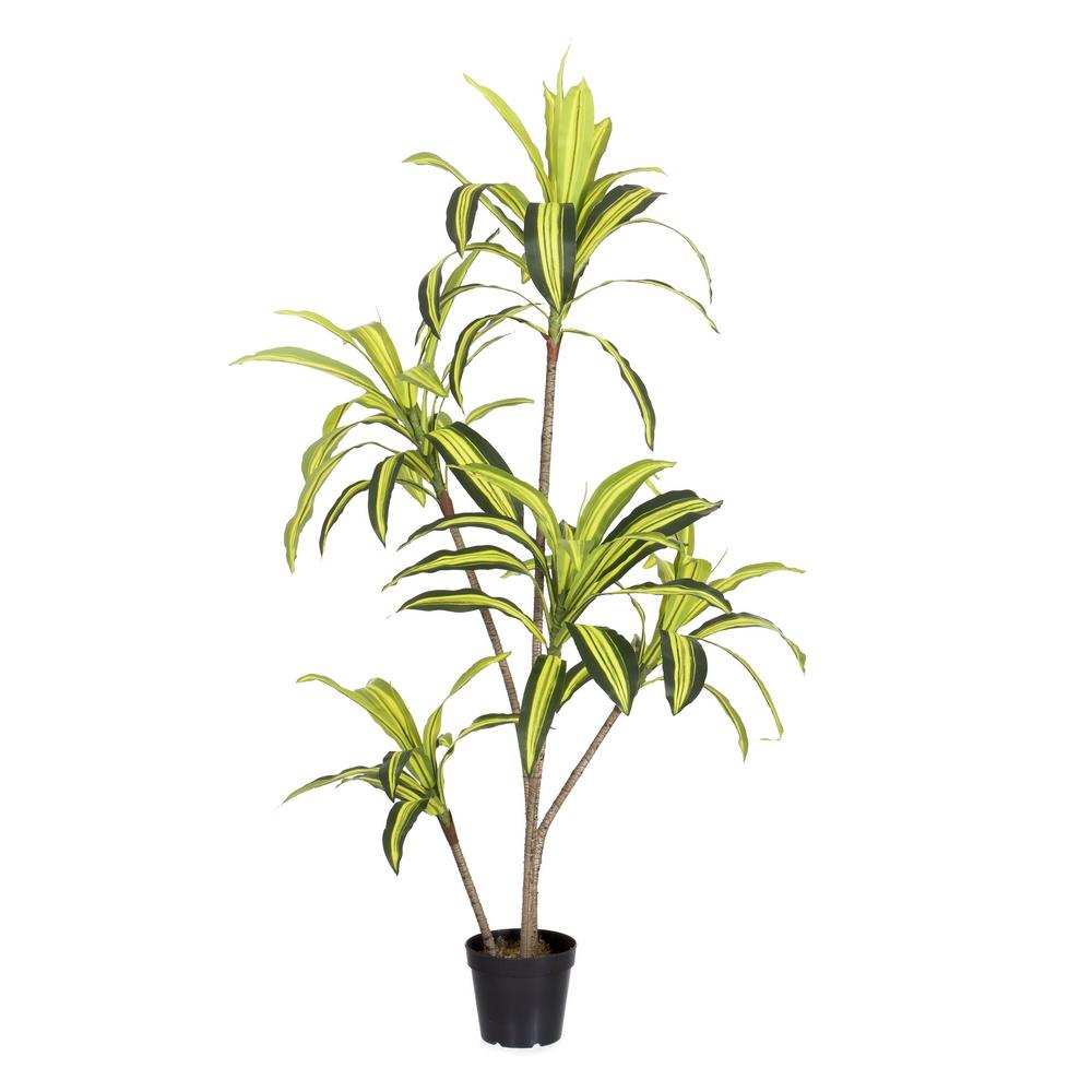 planta-dracena-exterior-150-cm-733228
