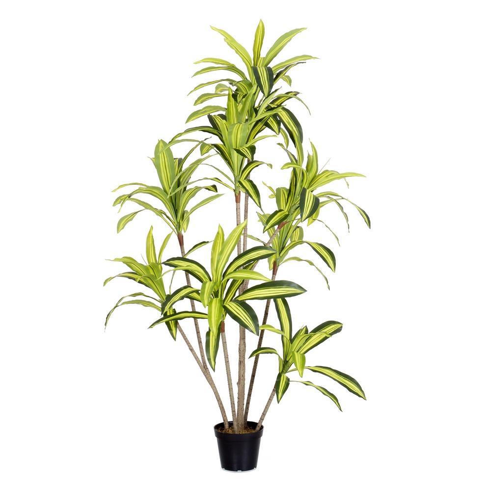 planta-dracena-exterior-180-cm-733229
