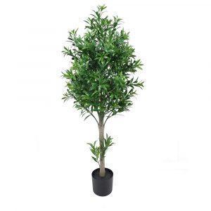 OLIVO EXTERIOR NATURAL 120 CM